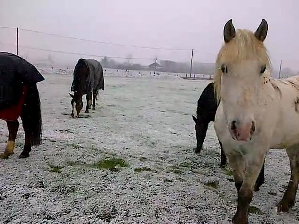 neige