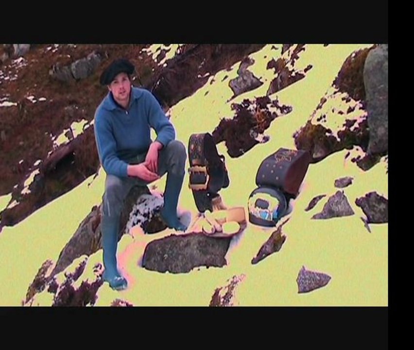 boeufs vosgiens bts acse 1