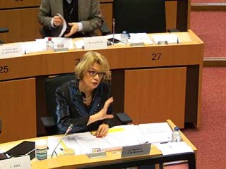 Elisabeth Morin-Chartier_Débat sur le futur du FSE avec les partenaires sociaux et les ong_22112011