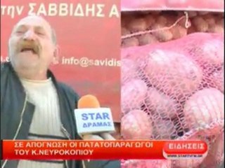 Σε απόγνωση οι πατατοπαραγωγοί του Κ. Νευροκοπίου