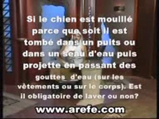 Toucher un Chien n'annule pas les Ablutions - Al Arifi