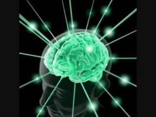 Muss man gesehen haben