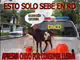 dj vice crash-.-mi nina tora mx