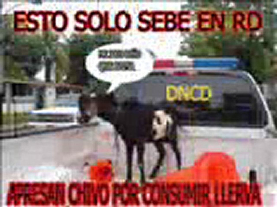 dj vice crash tirate un paso mi nina tora(-.-)