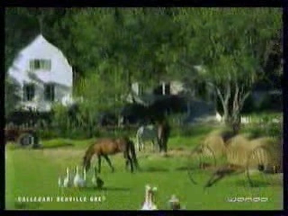 Video_Divers_028