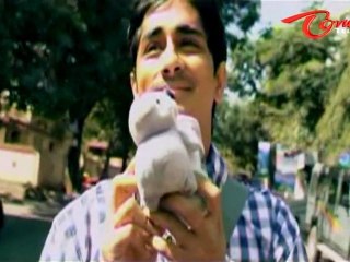 Love Failure Songs - Inthajare Inthajare - Siddharth - Amala Paul