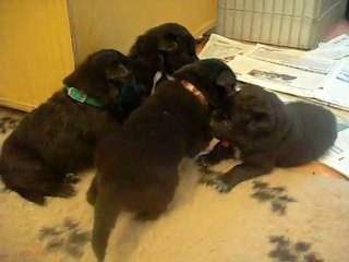 30 janvier 2012 : 19 jours