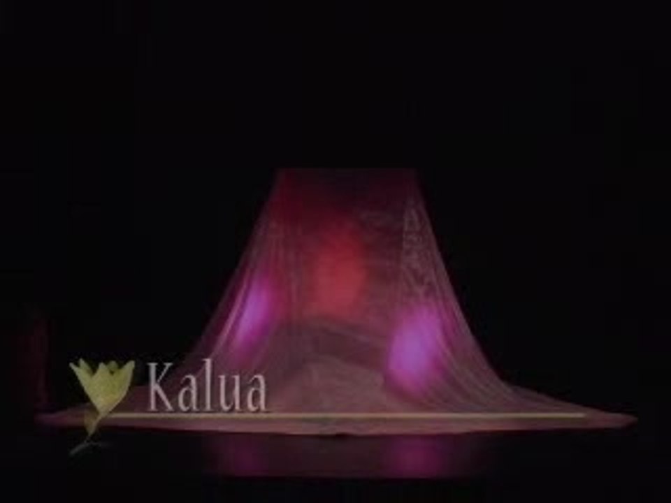 kauhane 2004