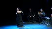Duende International Flamenco Festival 2011 - highlights of performances