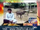 Geo Dost - 4th february 2012 part 2