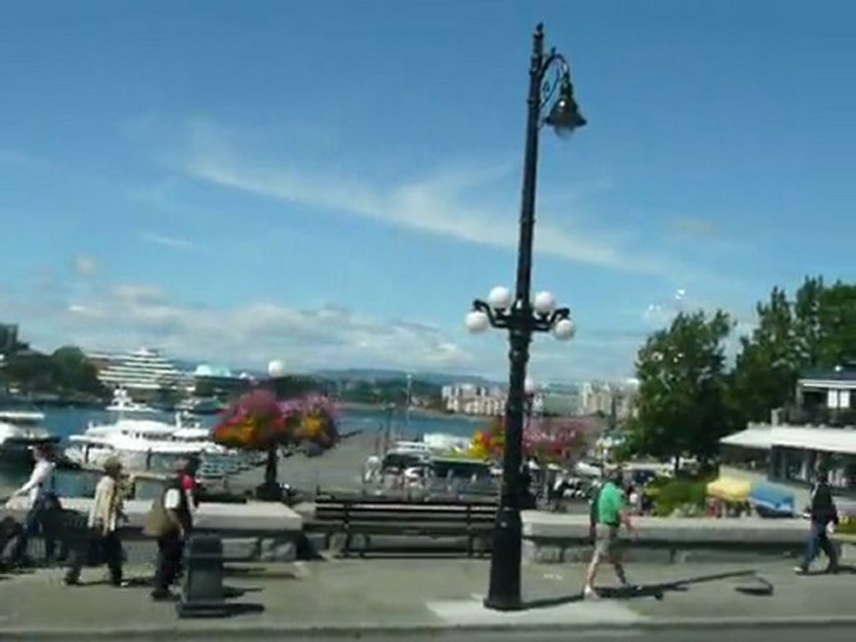 CRUISE (SF)-2010 033