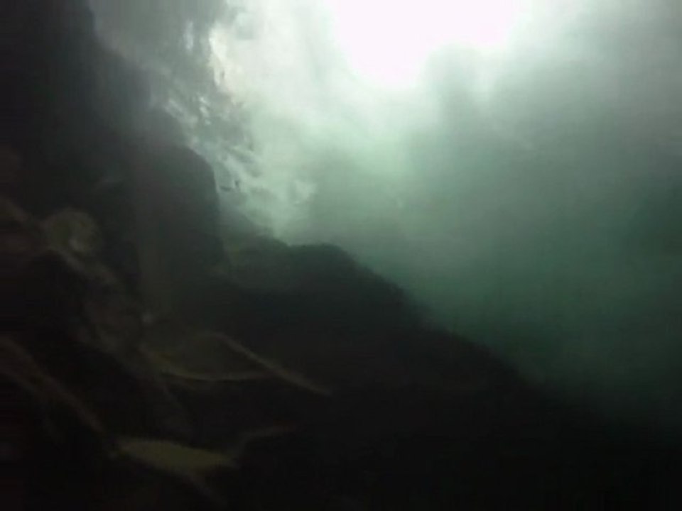 Chaudière Bense (3)