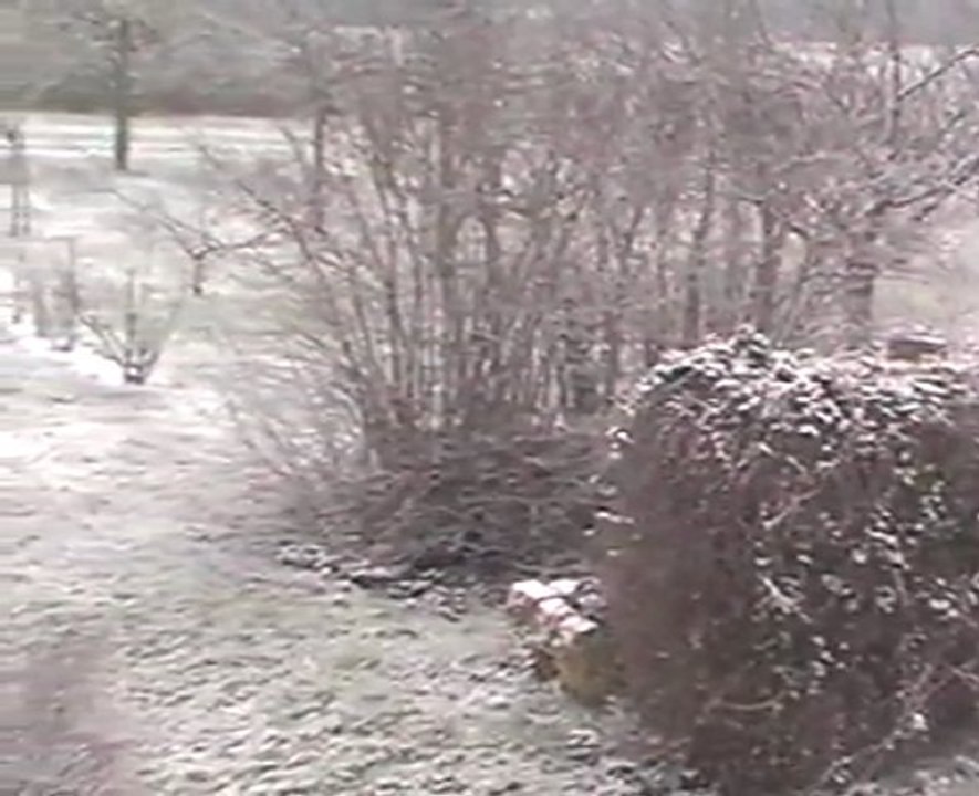 jardin sous la neige