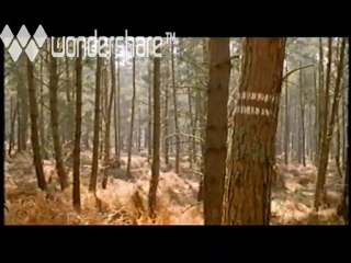 L'homme et le chien - Prix Kieslowski 2000 sur le thème de l'éducation