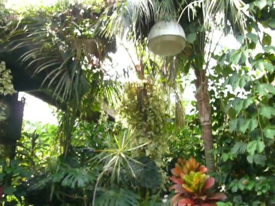 CRUISE (SF)-2010 036