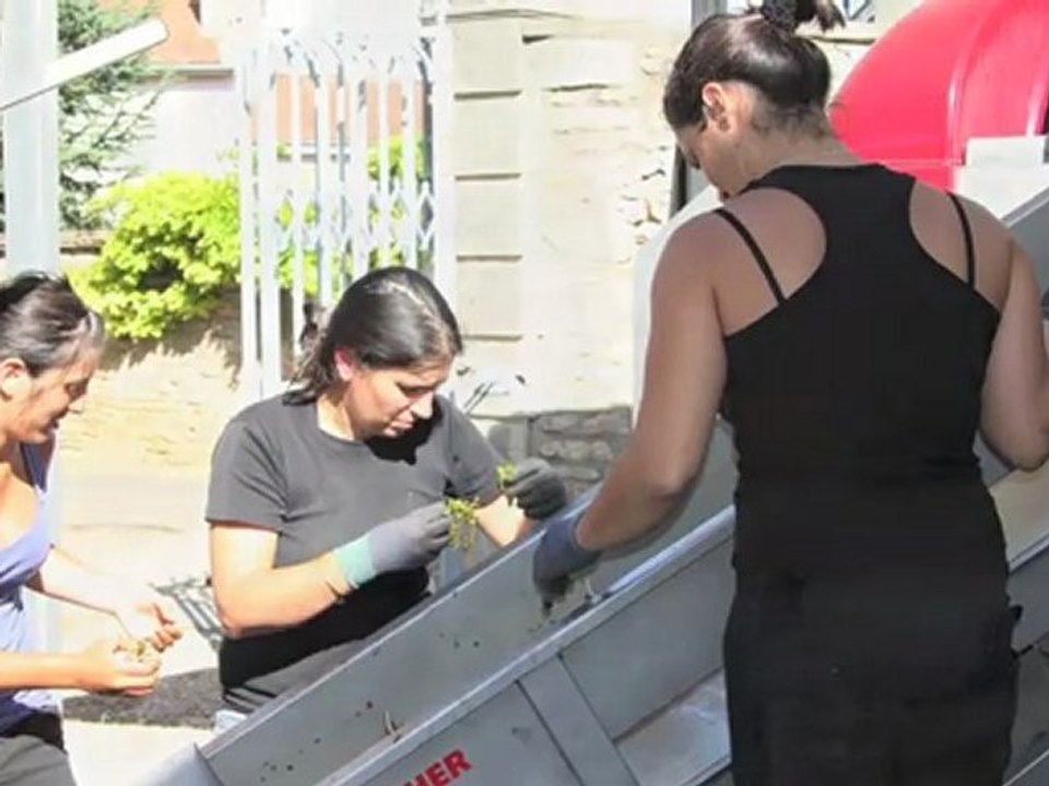 Rencontre avec… Chloé BAYON, Vigneronne indépendante, Le Manoir du Capucin