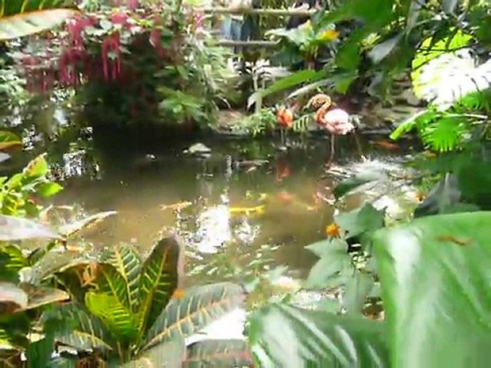 CRUISE (VIKTORIA)-2010 002