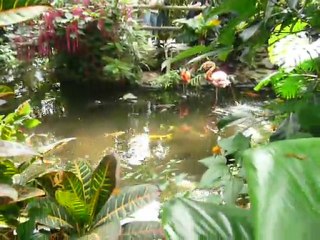 CRUISE (VIKTORIA)-2010 002