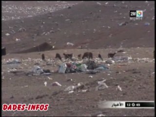 أكياس البلاستيك تجتاح مدينة الرشيدية