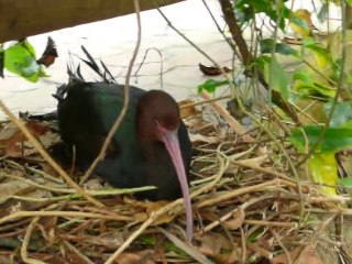 CRUISE (VIKTORIA)-2010 022