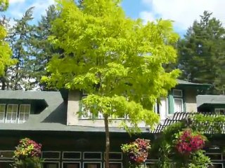 CRUISE (VIKTORIA)-2010 023