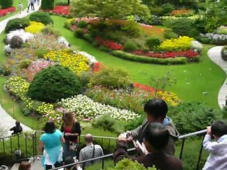 CRUISE (VIKTORIA)-2010 024