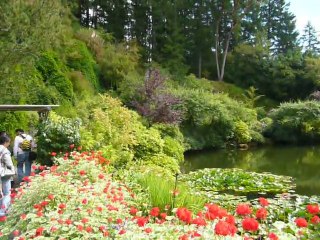 CRUISE (VIKTORIA)-2010 025