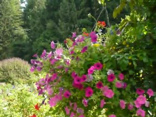 CRUISE (VIKTORIA)-2010 030