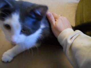 Gloups, le câlin spontané