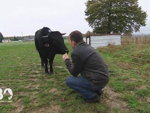 Fadjen la mascotte des anti-corridas