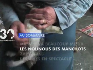 Sommaire émission 30 Millions d'Amis 5/2/2012