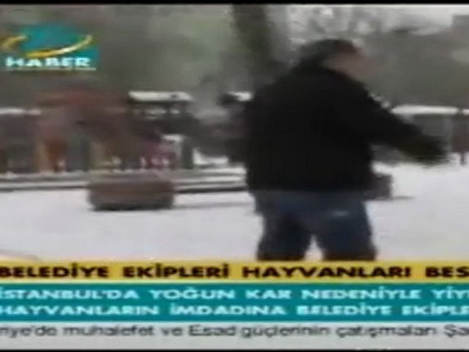 Sokak Hayvanlarına Yem Verildi - TGRT Haber