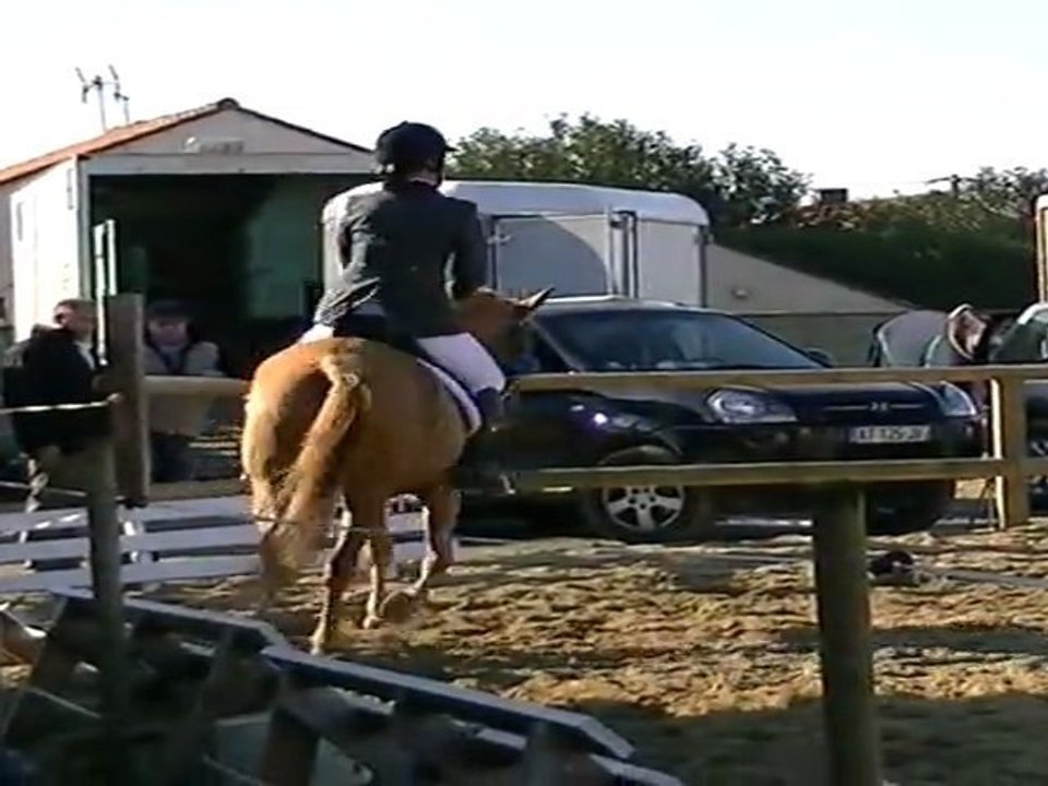 Anne/Elle meme Dress