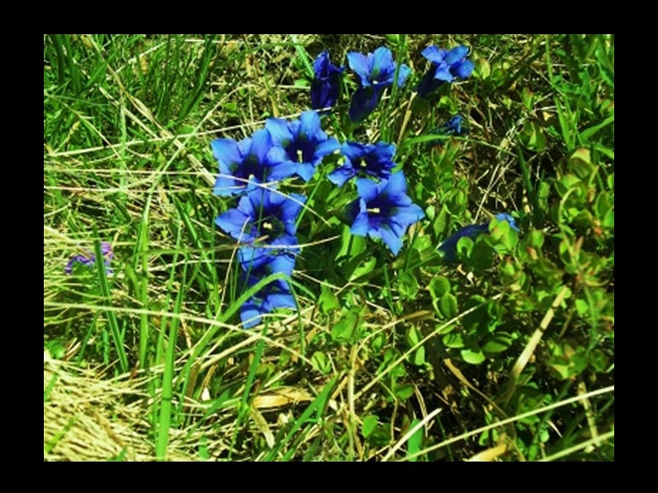 sublimes-paysages-de-parcs-naturels-jackdidier