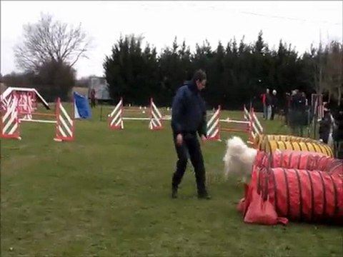 Compil démo agility 28-01-2012