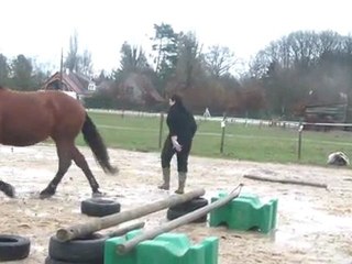 28.01.2012.m.sol.liberte