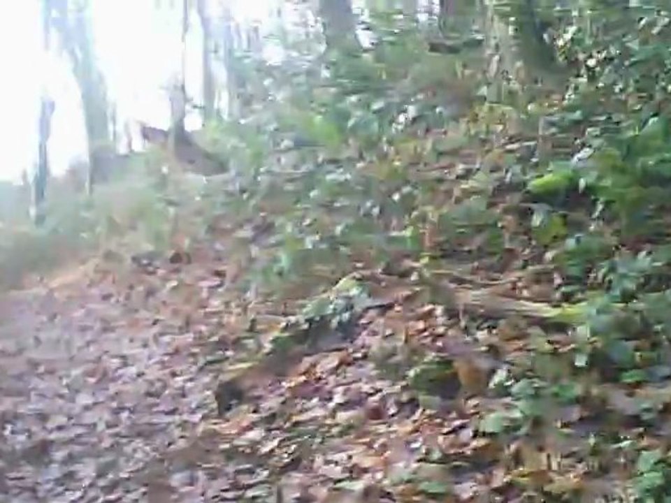 Plérin : nouveau chemin côtes aux roux à kertot