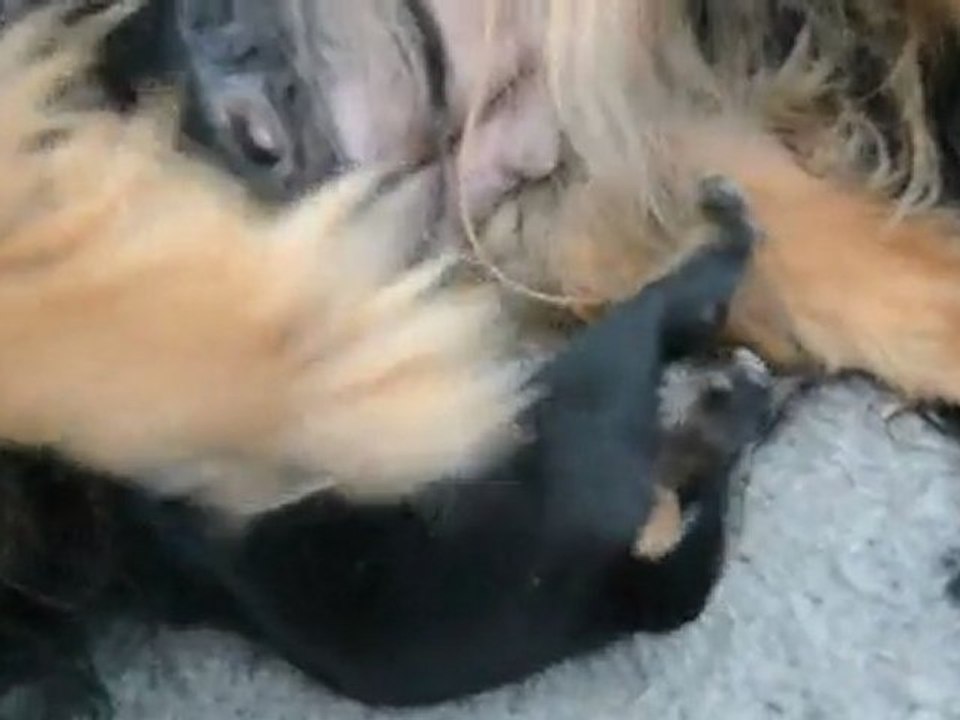 HOLLY 31/01/2012