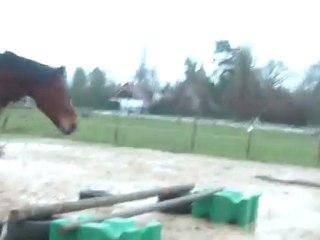 28.01.2012.k.sol.liberte