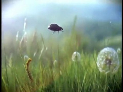 Самая смешная реклама (№ 9)