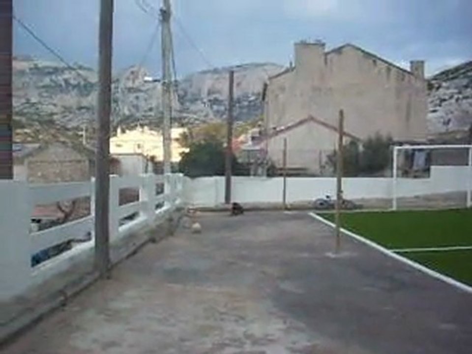 janvier 2012 036