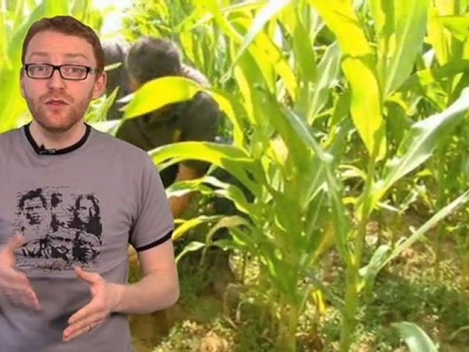 L’eau solide révolutionne l’agriculture