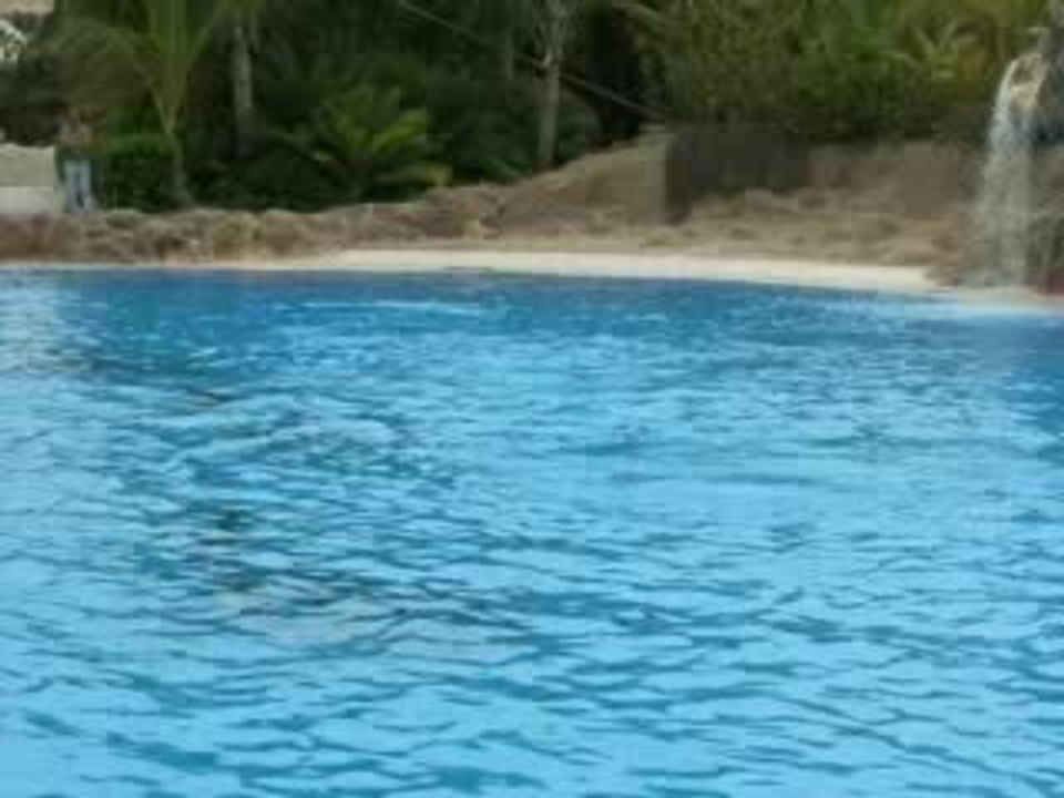Salir del agua