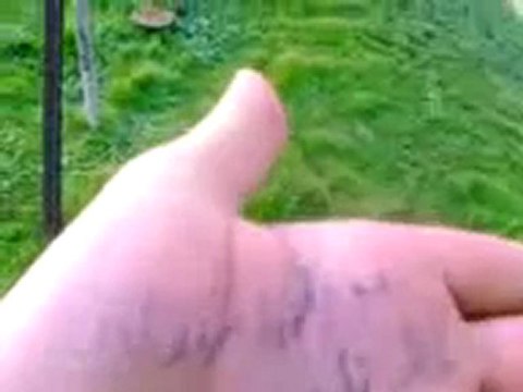 فري برس رفع علم الأستقلال على تل الأتارب بريف حلب أعلى قمة فيها 30 1 2012