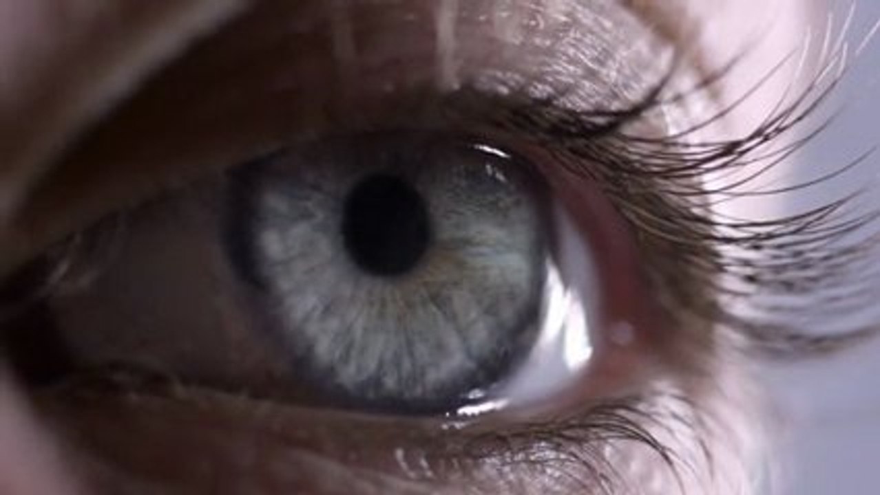 inca-dailymotion