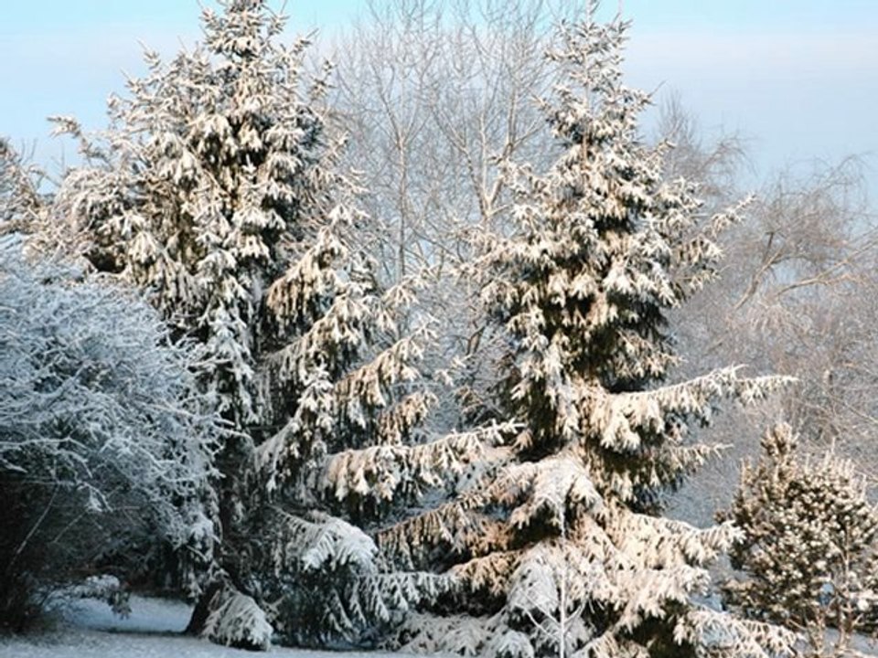 Un matin d'hiver