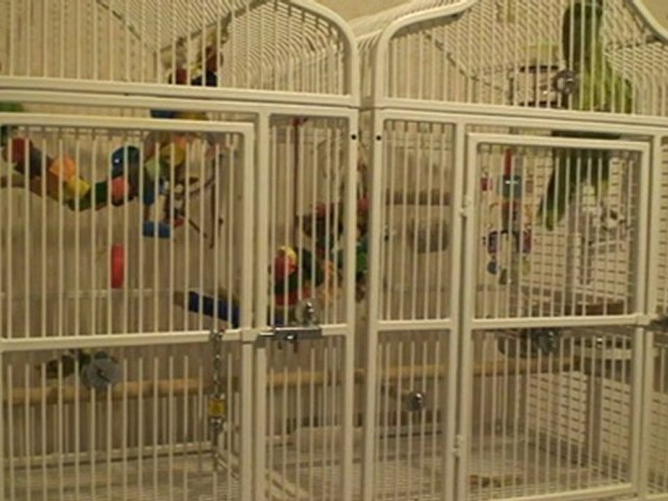 Philibert le 31 janvier 2012 mélange tout son répertoire