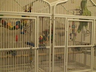 Philibert le 31 janvier 2012 mélange tout son répertoire