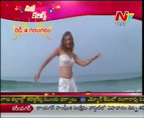 Film Actors Hot Romantic & Spicy Show In Cine Colors - 04