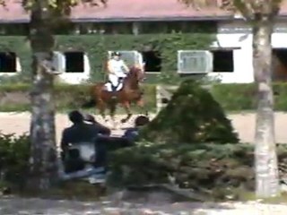 pretatout et cindy sur la 1.20m bois le roi